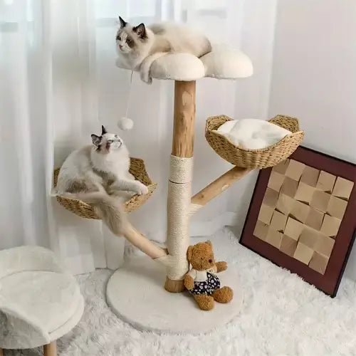 1762269724690a1a1c142652100204