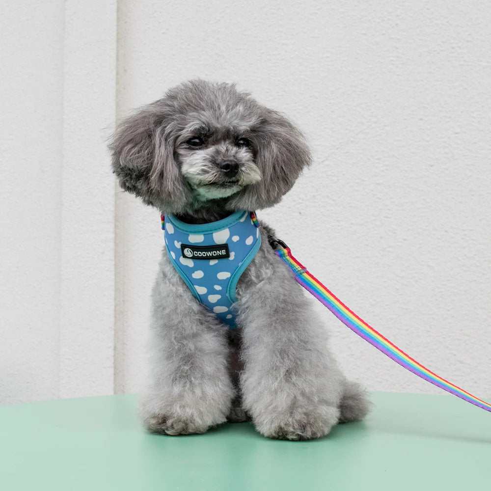 S211d4c1e41e944e498b68ff10801c2d6M