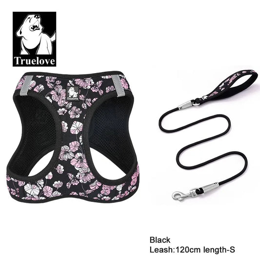 S2246521b343b456d8ed34b44c36717b5f