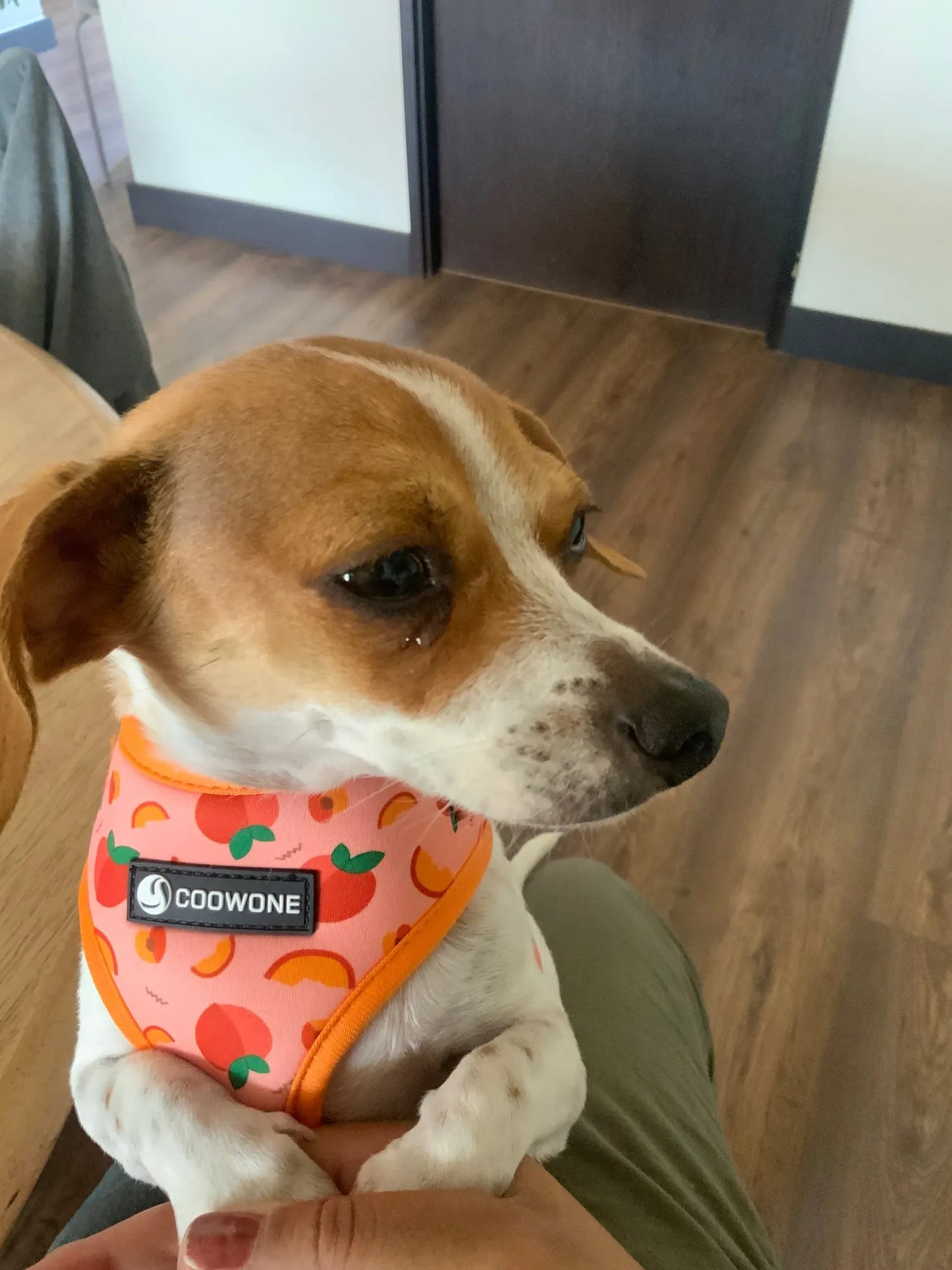 S38232a518f2840559d5bb96126dfeb0bN