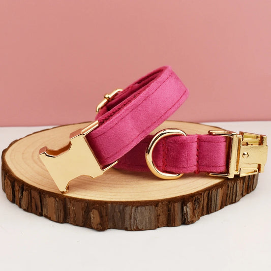 S86d57bb635034206ac6cee5dee924426r