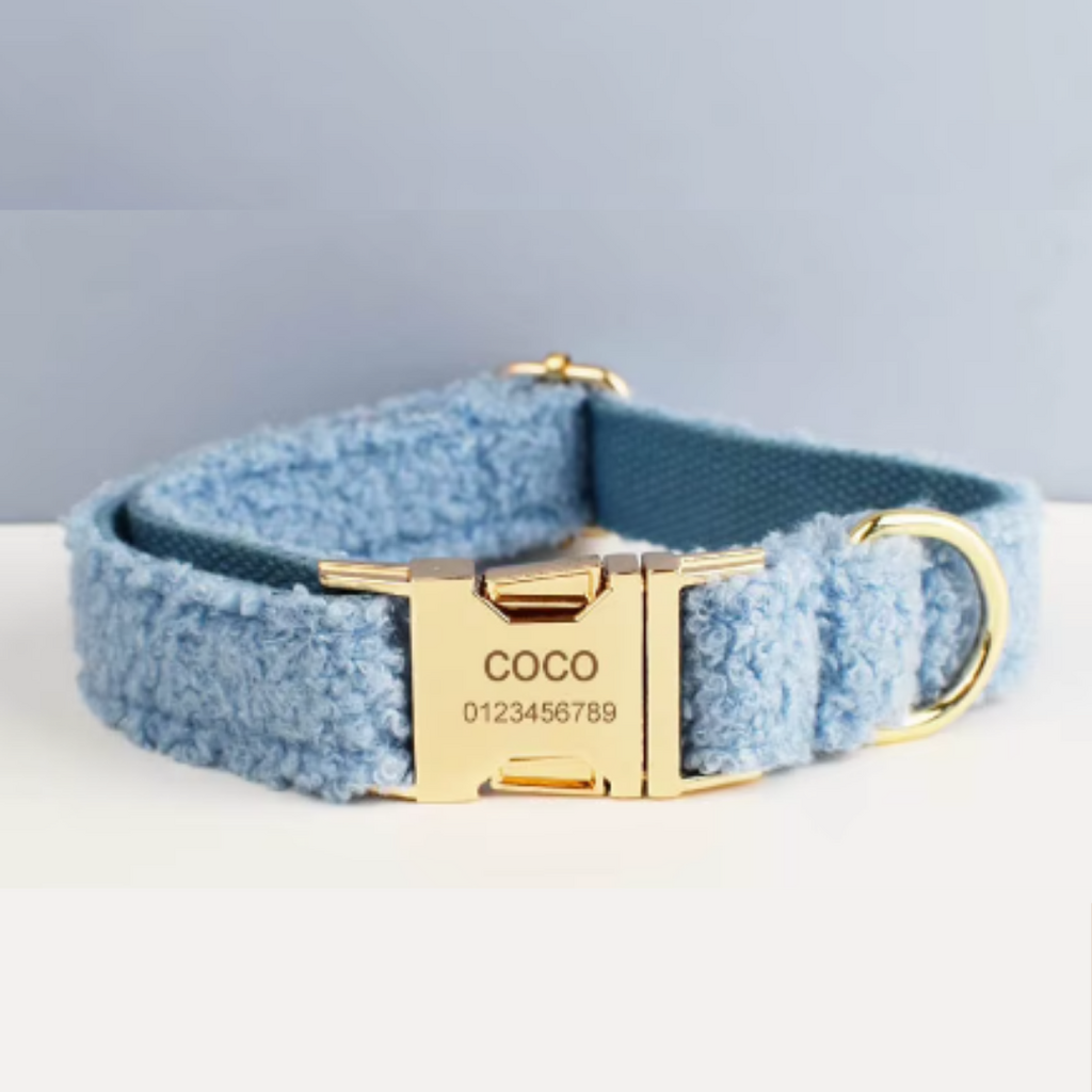 1737475496678fc5a8e1cf76359257