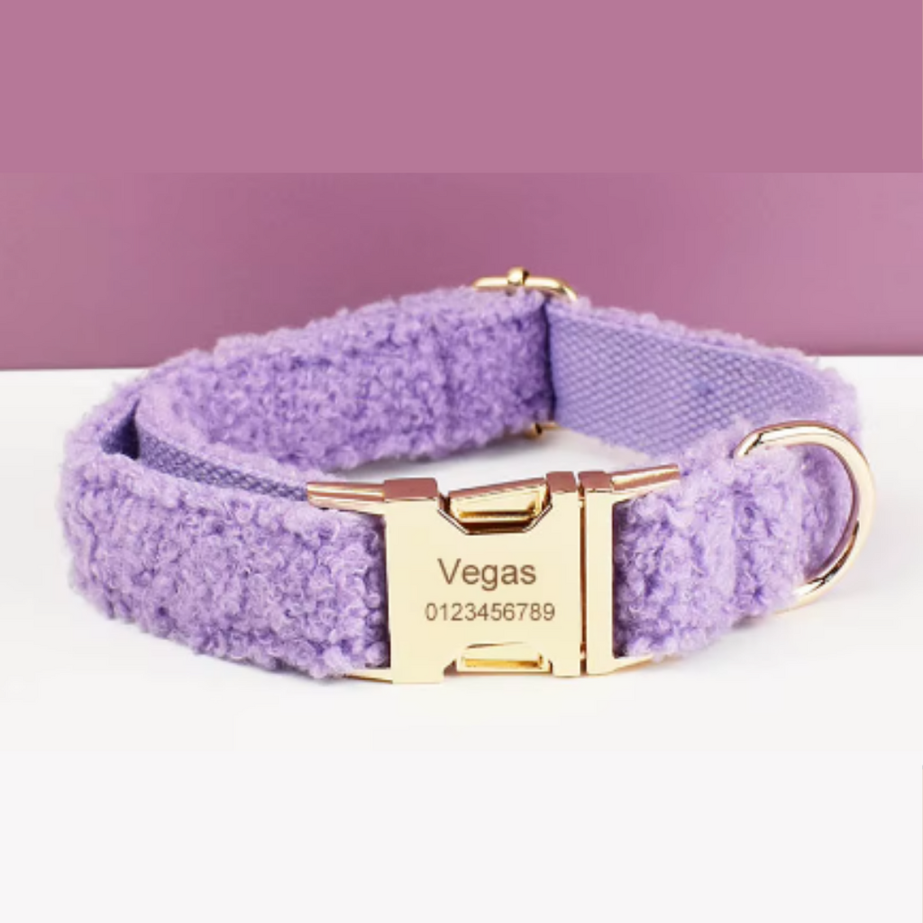 1737475498678fc5aa538337300039