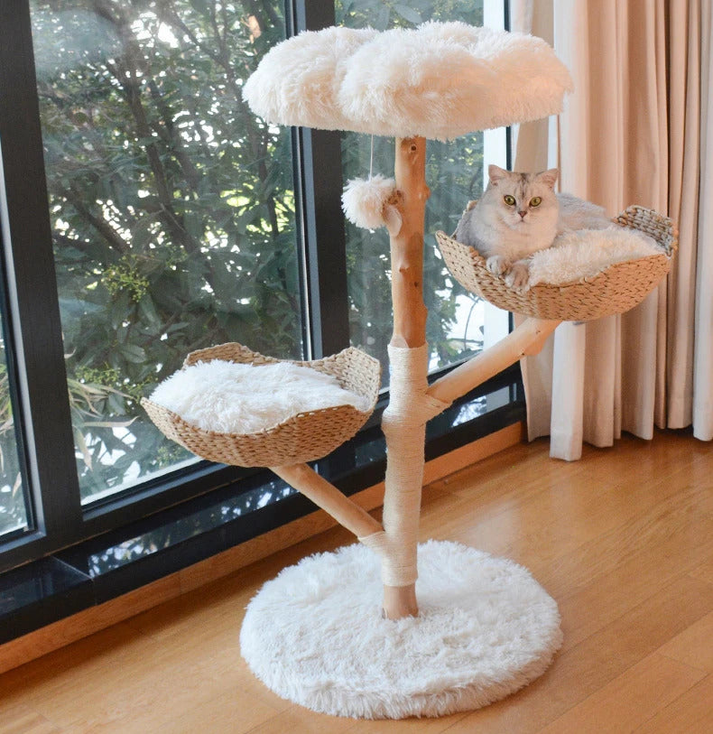 1762269561690a1979883a03720230