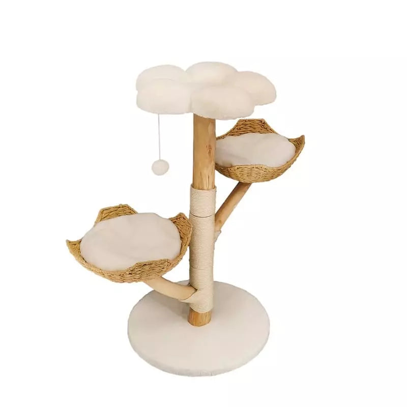 1762269562690a197a526cf4687300