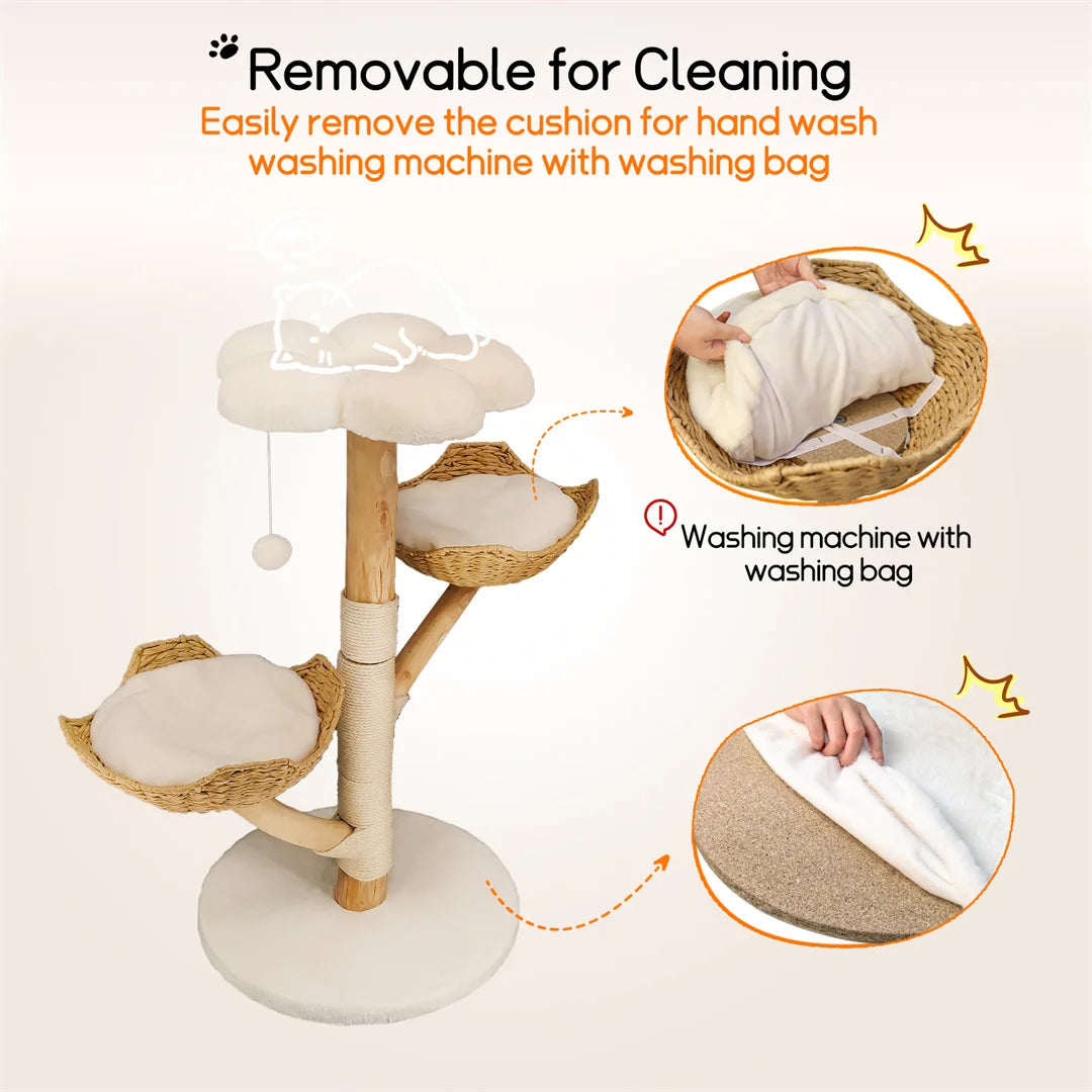 Sa16a56b0acfc4f3a831721fee4b2da43c